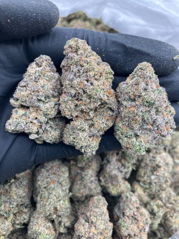 Permanent Marker weed strain