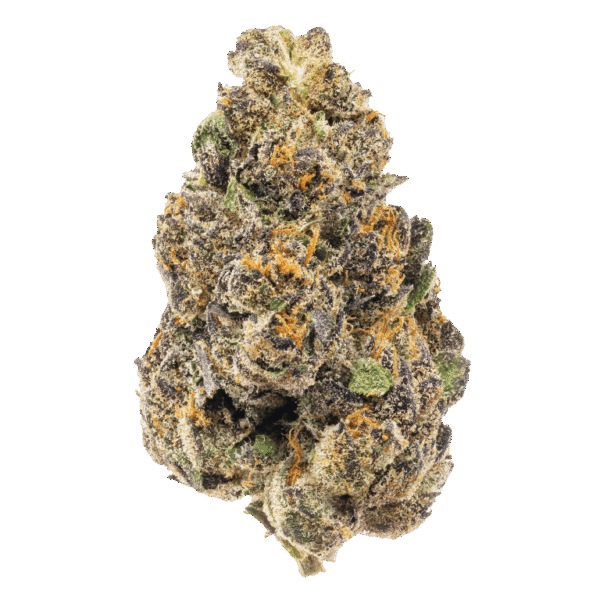 Sherb Cream Pie weed strain