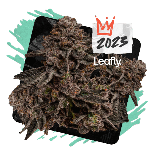 Permanent Marker weed strain - Image 2