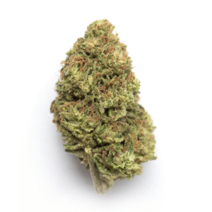 Alien Mints weed strain