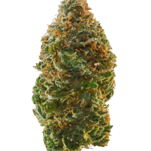 Garlic Cocktail weed strain