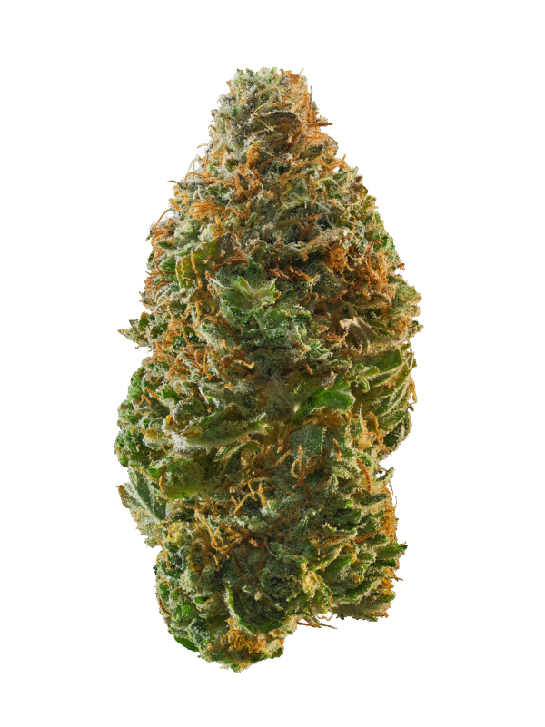 Garlic Cocktail weed strain