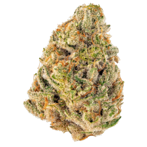 Hippie Crasher weed strain