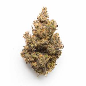 Jungle Pie weed strain