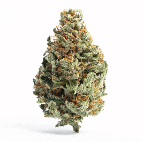 Legend OG weed strain