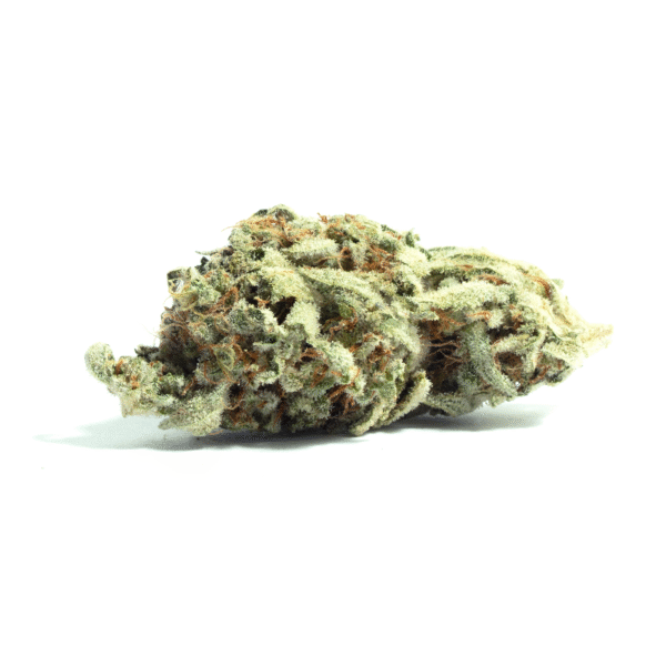 Lemon Drop weed strain