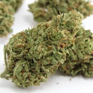OMG Strain weed strain