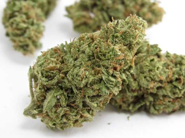 OMG Strain weed strain