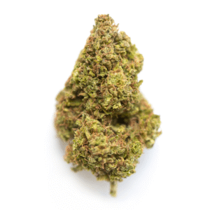 Princess Haze weed strain