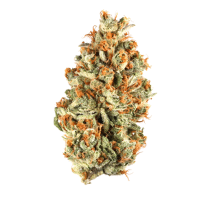 Red Bullz weed strain