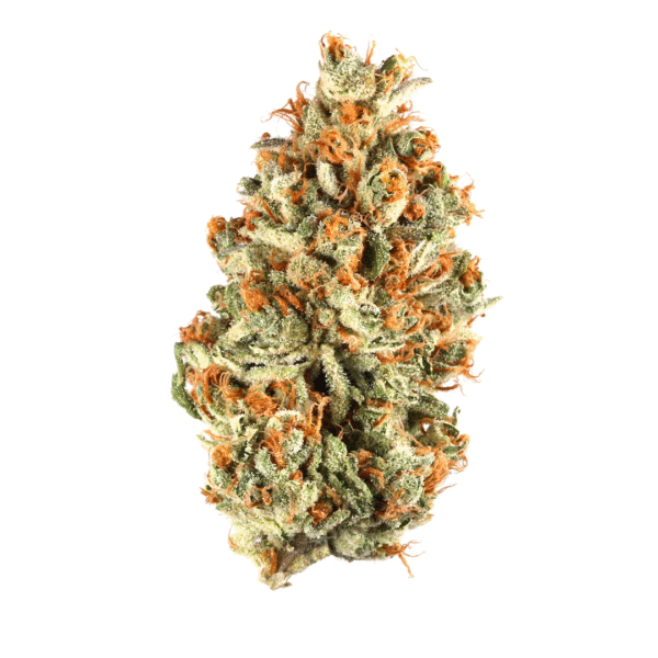 Red Bullz weed strain