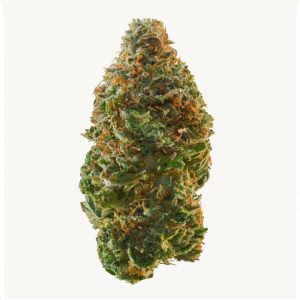 Singapore Sling Strain weed strain