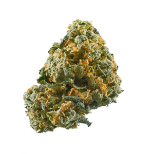 Triple Scoop weed strain